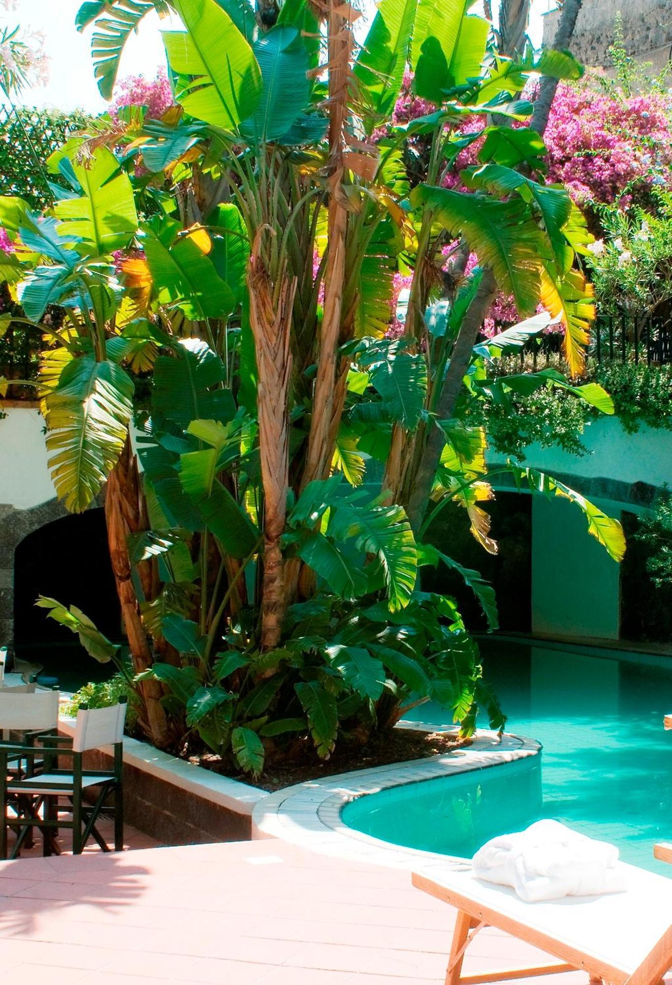 איסקיה Hotel La Villarosa Terme מראה חיצוני תמונה